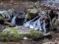 Felsstufe im Zellgrabenbach mit eisüberzogenem Zweig